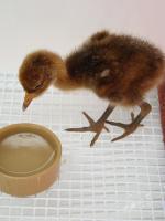 Black White Blue on 9th May 2012 Black White Blue on 9th May 2012